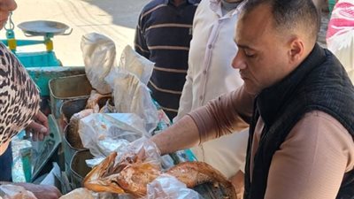 محافظ أسيوط: ضبط 850 كجم أسماك مملحة فاسدة خلال حملة بـ 5 مراكز