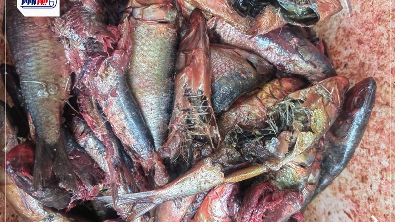 المضبوطات
