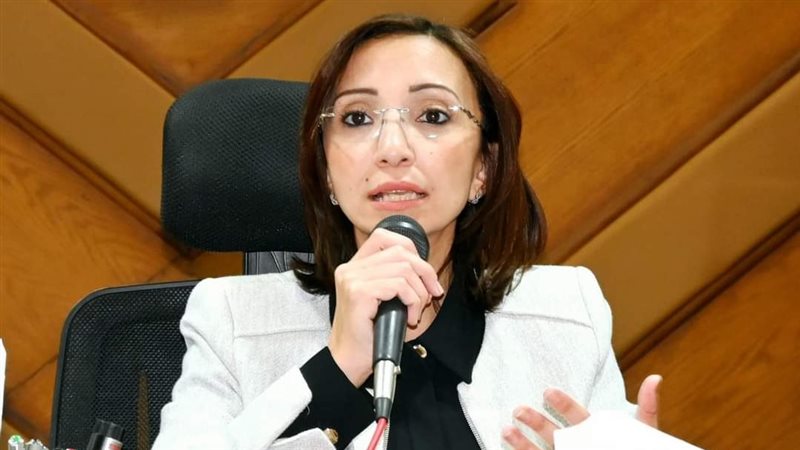 محافظ البحيرة