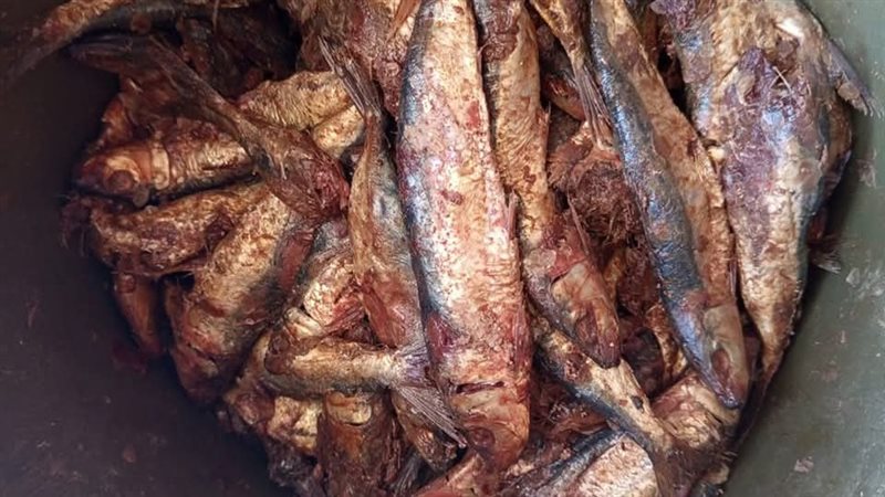 المضبوطات 