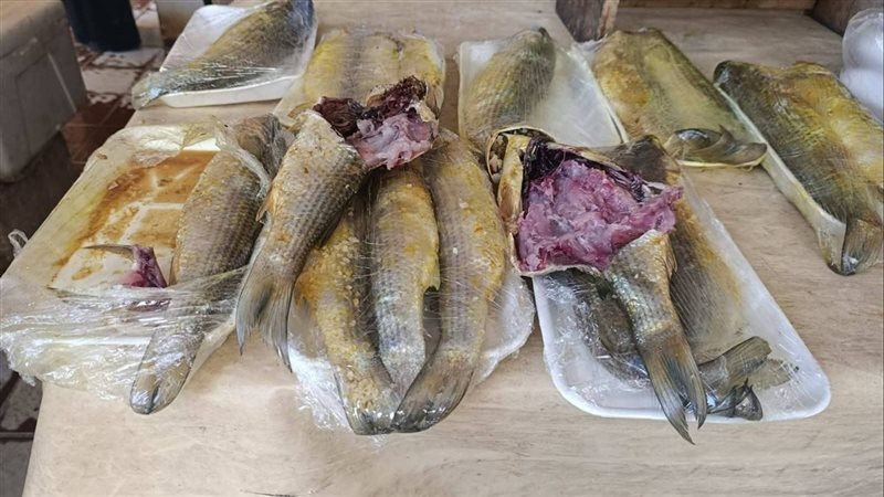 جانب من المضبوطات