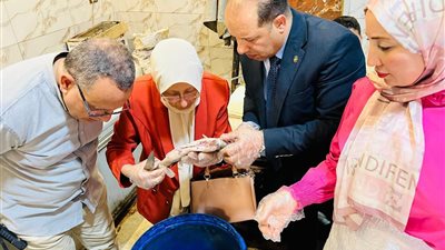 قبل شم النسيم.. الزراعة تضبط 71 طن أسماك فاسدة وتحرر 177 محضرًا ضد المخالفين