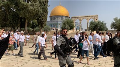 مصر تدين اقتحام مستوطنين المسجد الأقصى تحت حماية شرطة الاحتلال