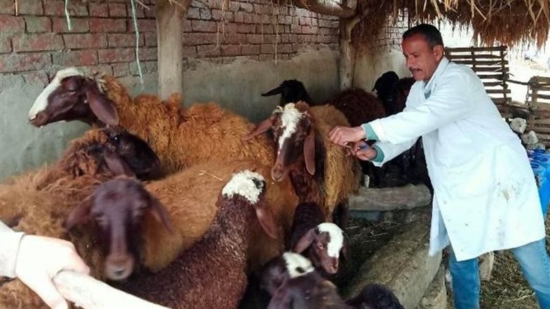  الحملة القومية للتحصين