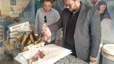ضبط 16 طن أسماك مملحة ومدخنة خلال حملات رقابية بالشرقية