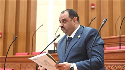 نائب: توجيهات الرئيس بشأن قوانين الأسرة تمثل تطويرًا لمنظومة الأحوال الشخصية 