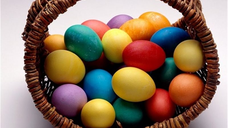 أسعار البيض اليوم