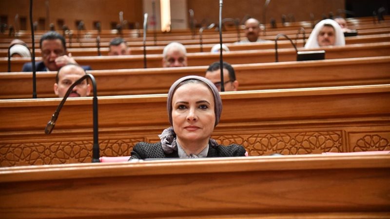 النائبة نشوة عقل