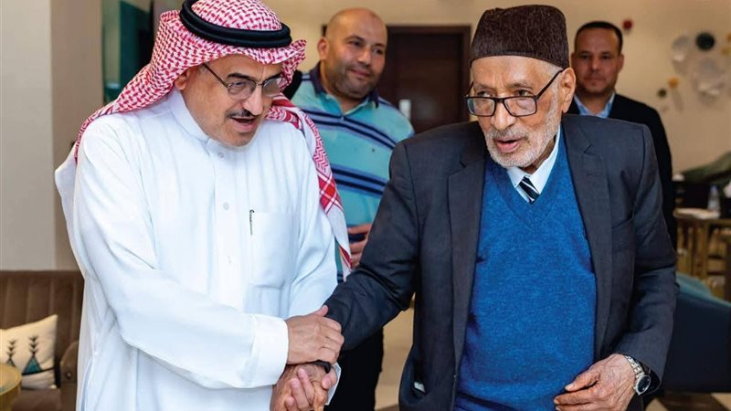 الدكتور محمد أبو