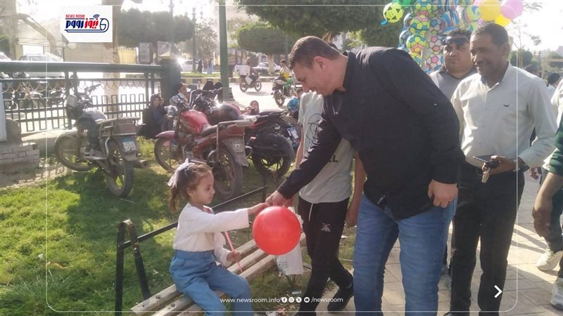 رئيس مجلس مدينة المنيا