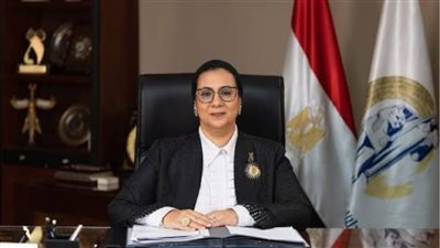 المجلس القومي للمرأة: قانون الأسرة يُنصف المرأة ويراعي مصلحة الأطفال 