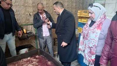 حملات تموينية مكثفة بالإسكندرية تضبط 6 أطنان دواجن فاسدة