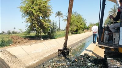 بعد نشر «نيوز رووم».. وصول الكراكات لتطهير ترع الشناوية في بني سويف