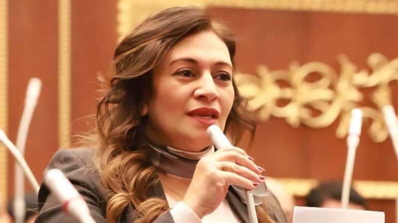 النائبة نيفين فارس