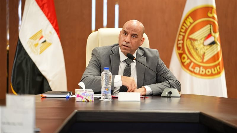 وزير العمل