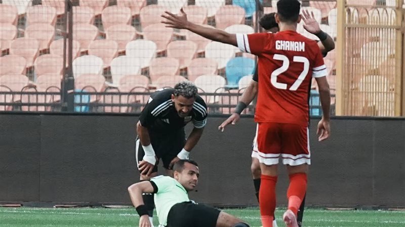 مصطفى شهدي 