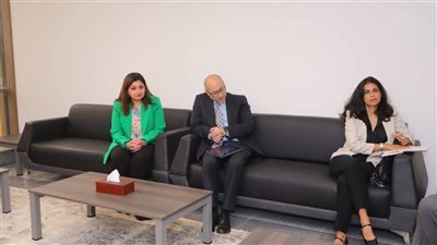 دمياط تبحث مع منظمة العمل الدولية تعزيز فرص التشغيل وتدريب الشباب