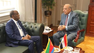 مصر وإريتريا تبحثان تعزيز التعاون في الكهرباء والطاقة المتجددة