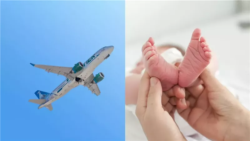 صورة موضوعية