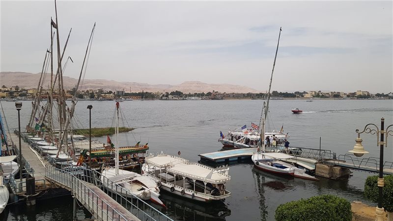 البرطوم الخاص بعبور