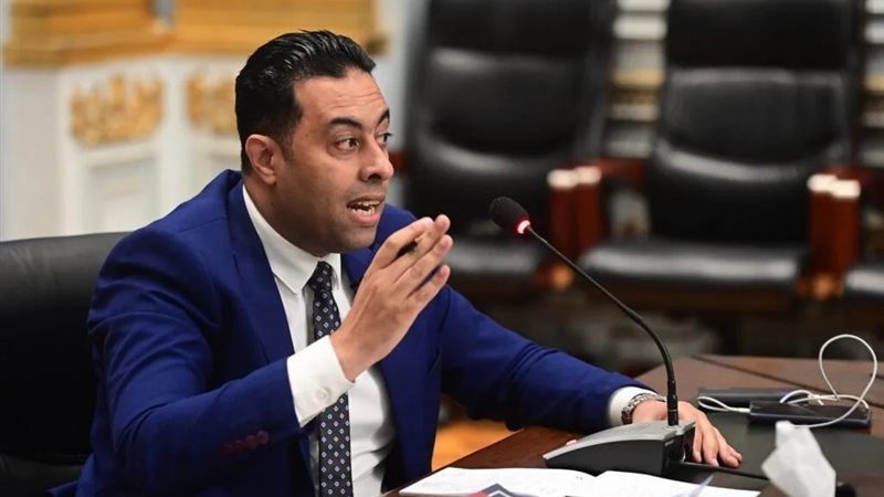 النائب أحمد فرغلي