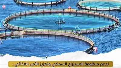 إنتاج 71 طنًا من الأسماك بمزرعتي المنزلة والبرسيق السمكية لتعزيز الأمن الغذائي