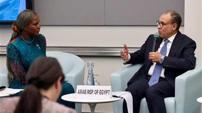 وزير الخارجية يثمن شراكة البنك الدولي لتوطين الصناعات الصحية في إفريقيا