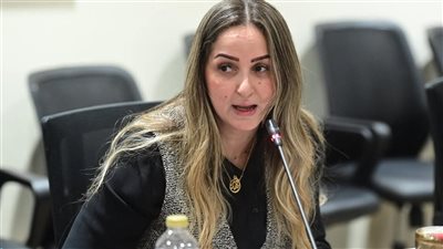 مناقشةطلب إحاطة للنائبة لبني عبد العزيز بشأن مواجهة الشائعات..بحضور ضياء رشوان