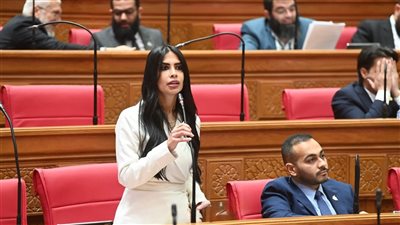 طلب إحاطة حول فجوة تطبيق نظام الترانزيت وتأثيرها على بيئة الأعمال