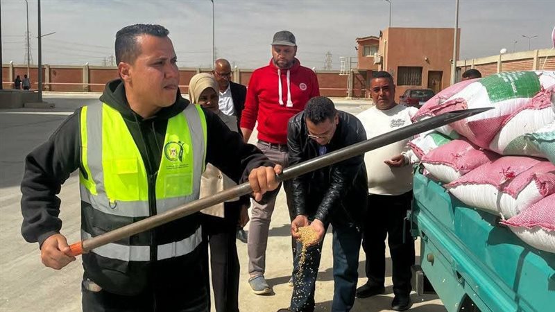 جانب من التوريد