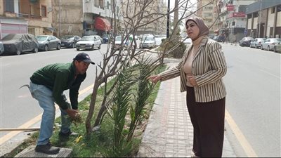 لإعادة المظهر الحضاري لبورفؤاد.. صيانة كافة المسطحات الخضراء بأنحاء المدينة
