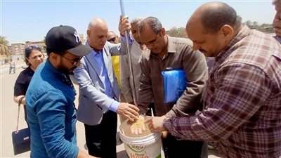 محافظ أسيوط: انتظام أعمال توريد القمح للصوامع والشون بإجمالي 1109 طن