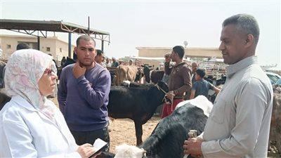 متابعة بيطرية بسوق الماشية بقرية الألبان الجديدة بالسويس وتحصين الحيوانات