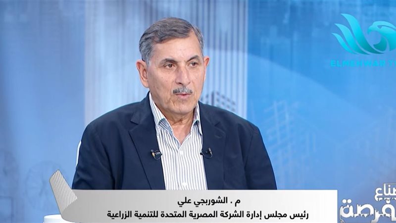 الشوربجي علي 