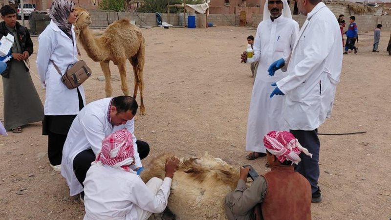 جانب من القافلة
