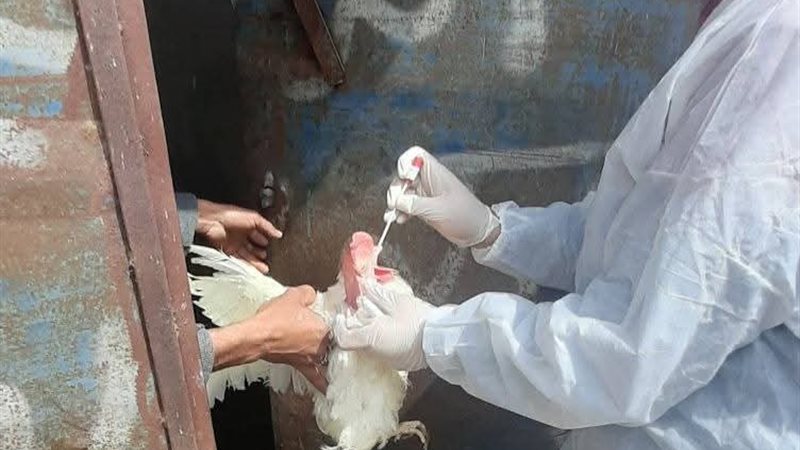 تشديد إجراءات الأمن