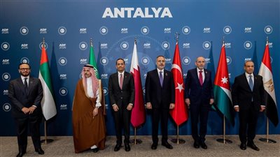 وزير الخارجية يؤكد على ثوابت الموقف المصري من القضية الفلسطينية