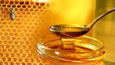 اتحاد النحالين العرب: عروض العسل الرخيصة «وهمية» وتضر بصحة المواطنين 