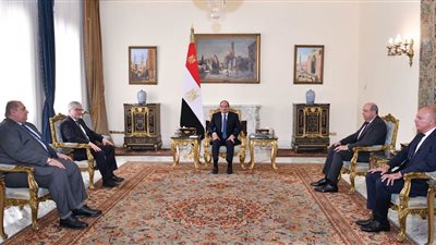 الرئيس السيسي يبحث تطوير قطاع الطيران وتعزيز التعاون الدولي مع «إيكاو»