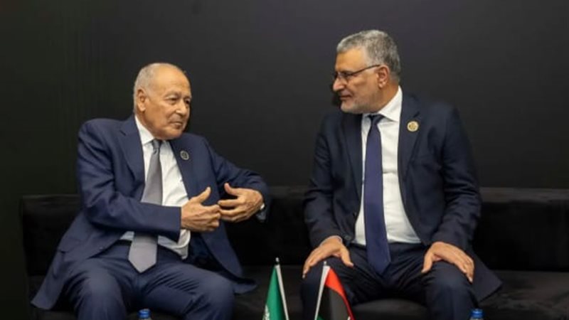 لقاء أبو الغيط ومحمد