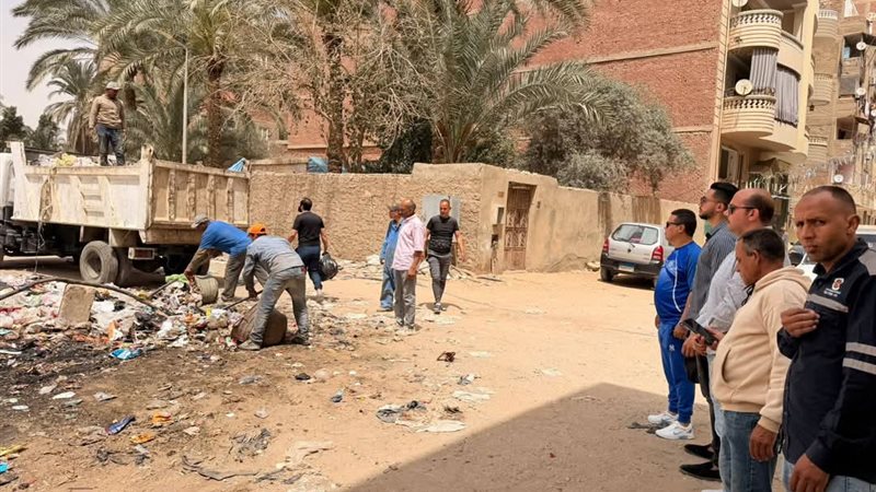 جانب من الأعمال 
