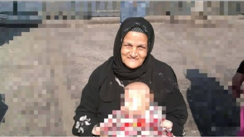 المسنة التائهة 
