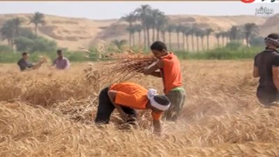 وزارة الزراعة تحذر: لا نبيع منتجات عبر الإنترنت وهذه الأسعار مؤشر غش
