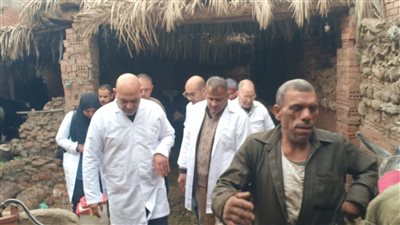 القليوبية تحصن 113 ألف رأس ماشية ضد الجلد العقدي بنسبة تغطية 99%