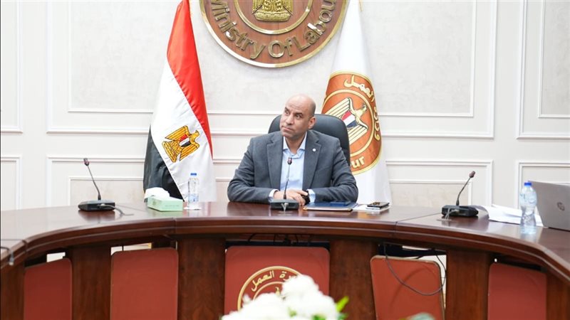 وزير العمل 