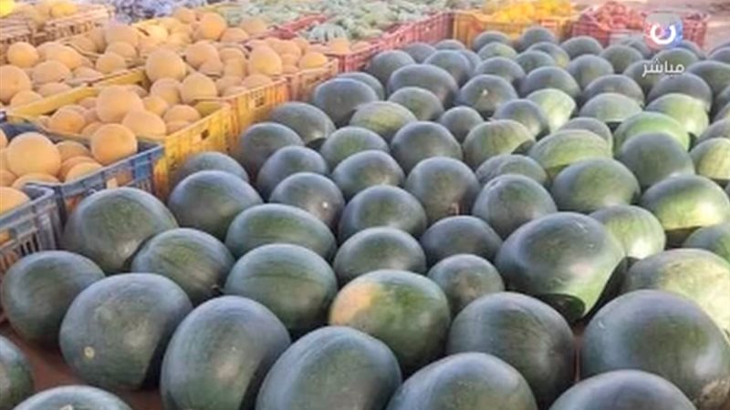 البطيخ 