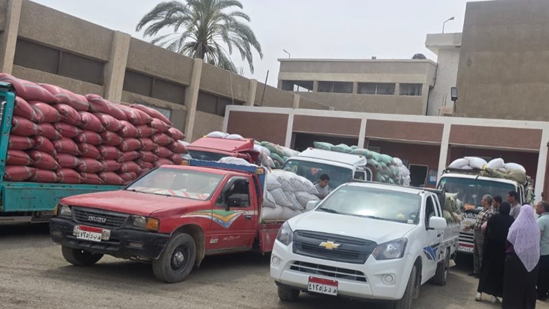 عمليات توريد القمح