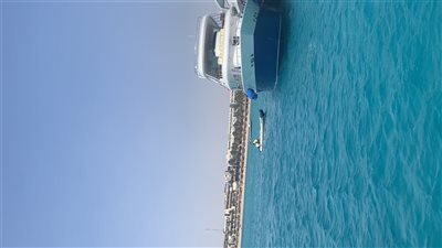 نقيب السياحيين يعلن عن خطط تدريبية متكاملة للقطاع السياحي  