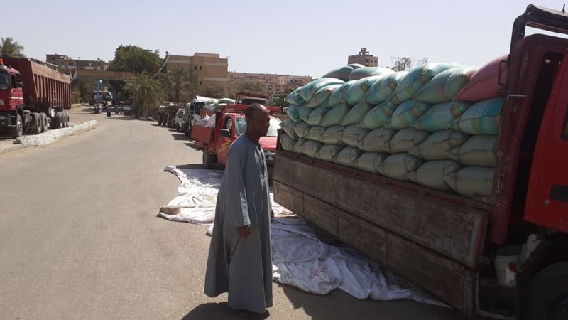صورة واقعيه