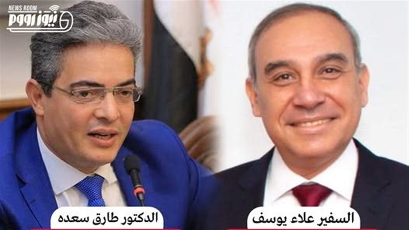 السفير علاء يوسف